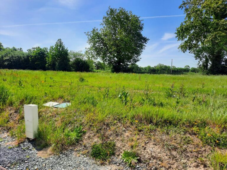 Terrain constructible Saint-Denis-Le-Vêtu