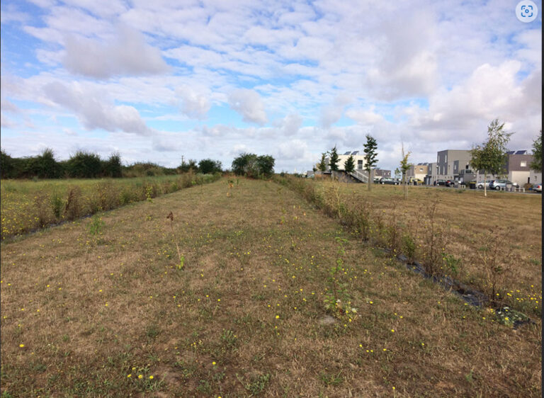 Terrain constructible Moult-Chicheboville