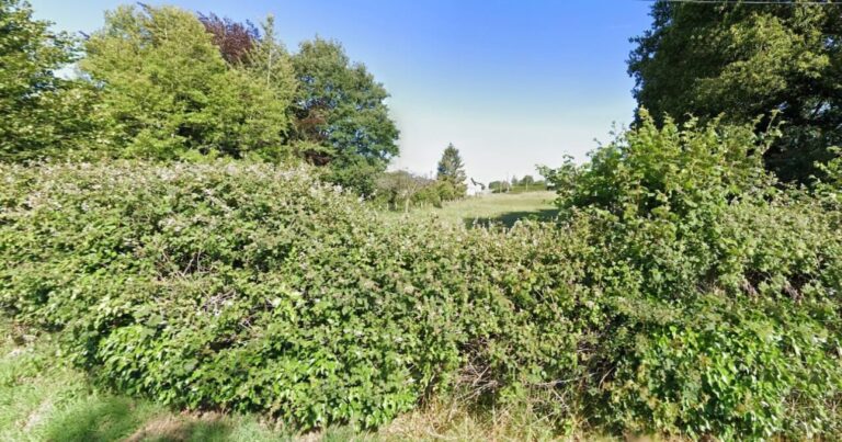 Terrain constructible Saint-André-D'hébertot